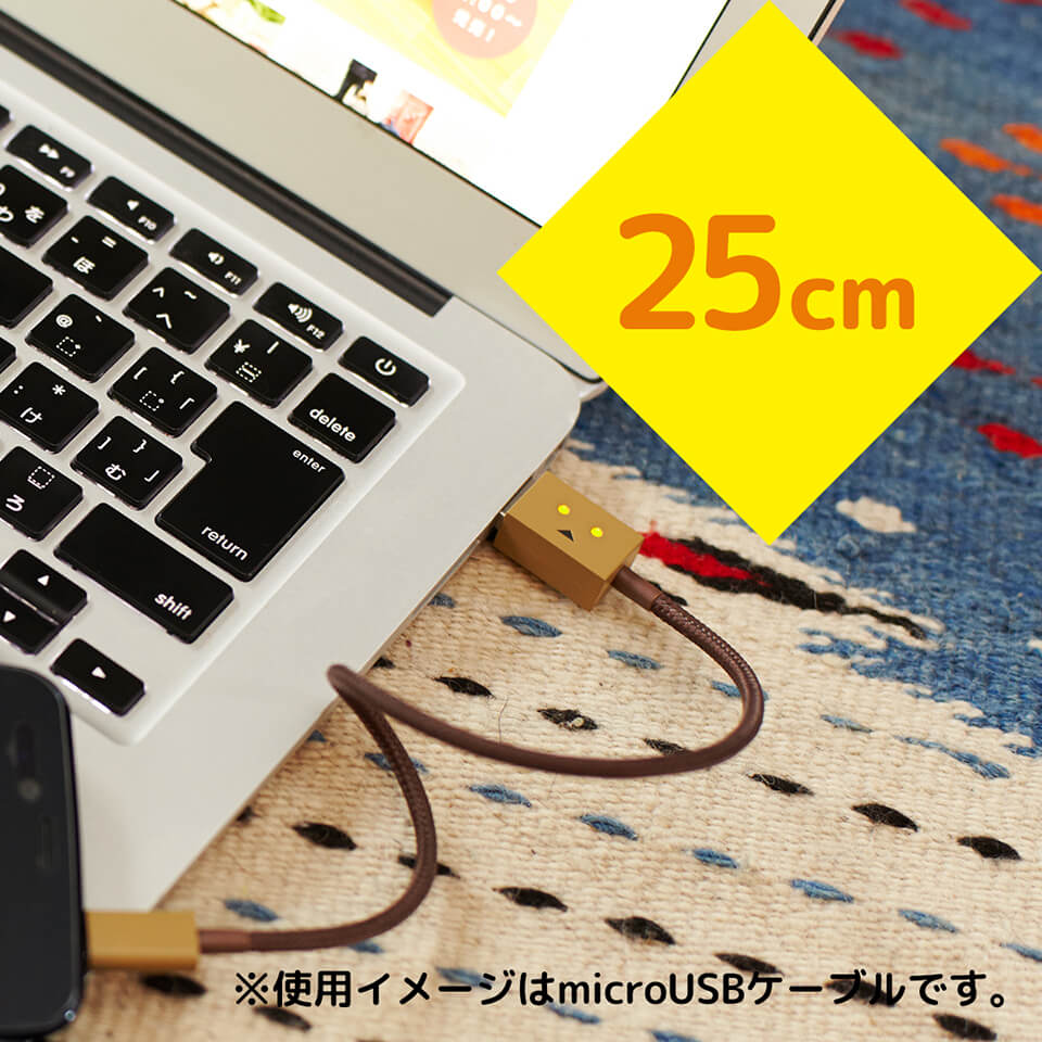 cheero DANBOARD USB Cable with micro USB