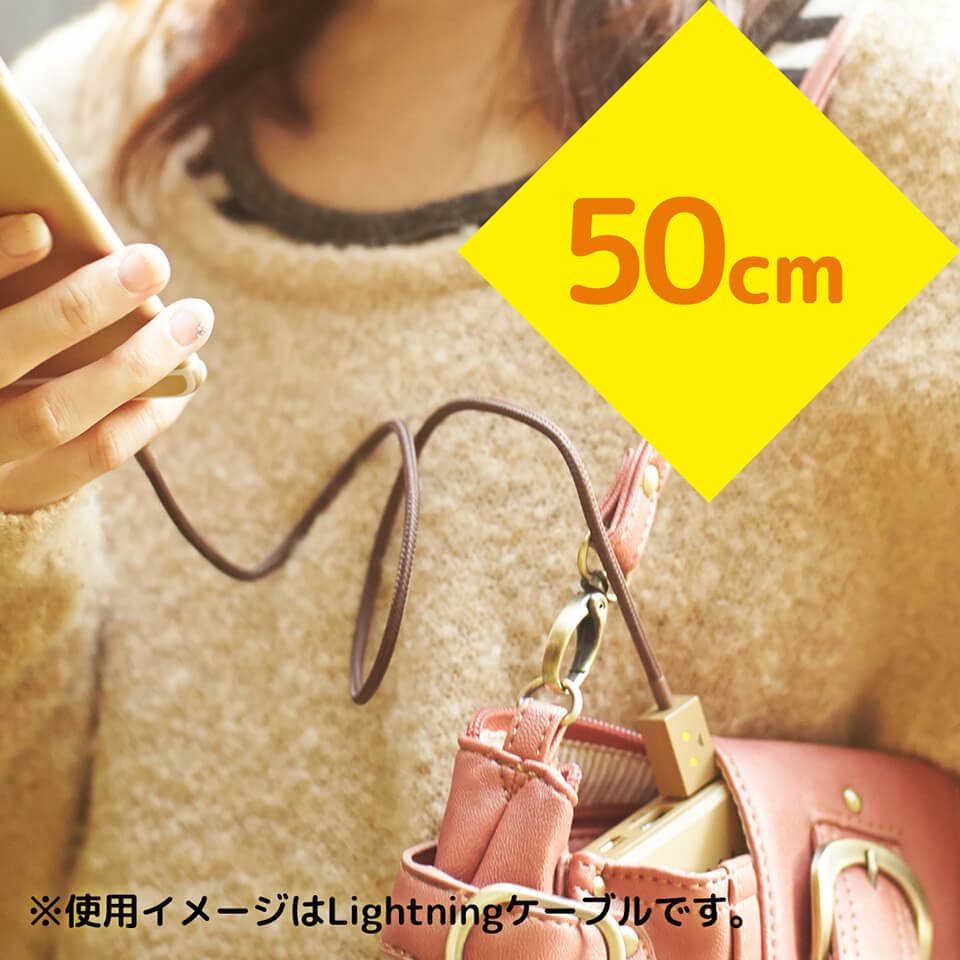 cheero DANBOARD USB Cable with Lightning & micro USB