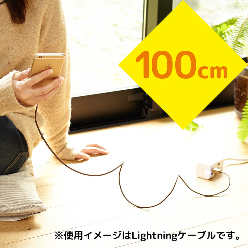 cheero DANBOARD USB Cable with micro USB