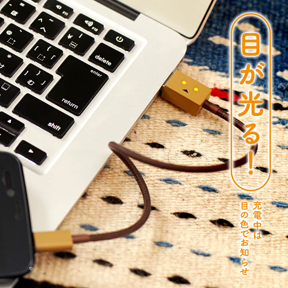 cheero DANBOARD USB Cable with Lightning & micro USB