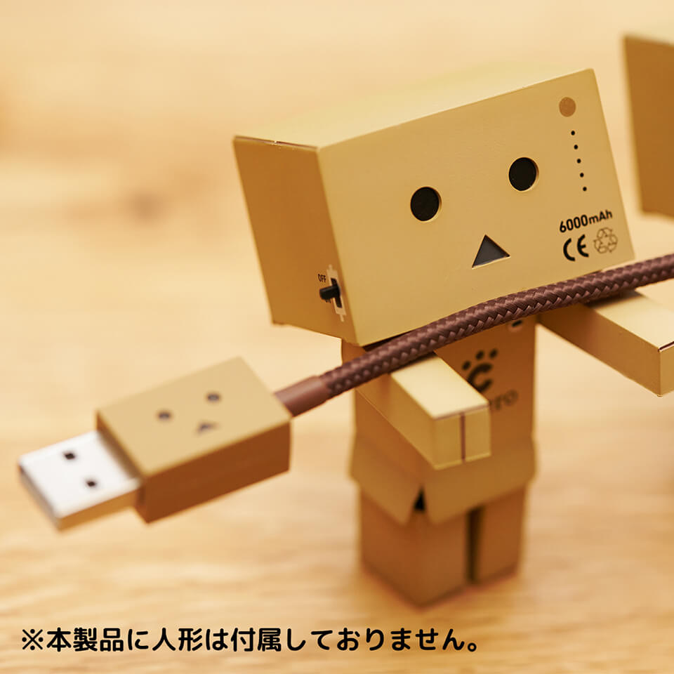 cheero DANBOARD USB Cable with Lightning & micro USB