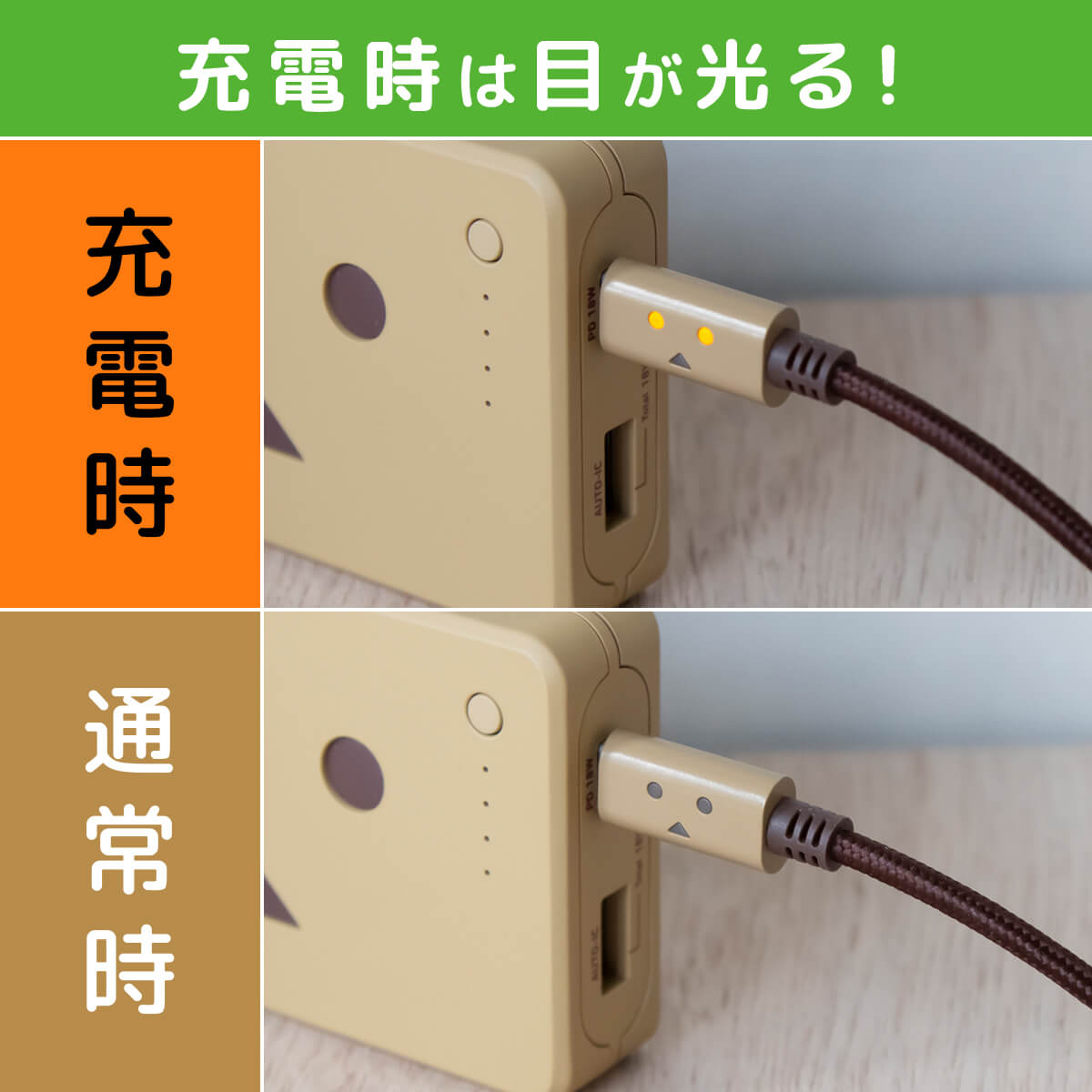 cheero DANBOARD USB-C Cable with Lightning