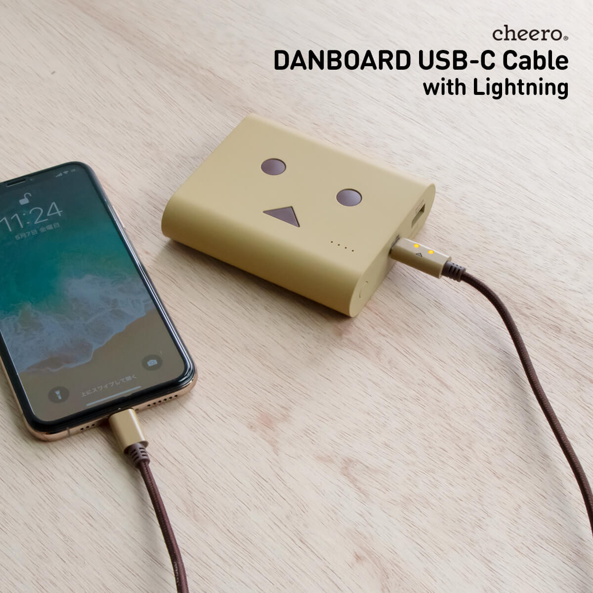 cheero DANBOARD USB-C Cable with Lightning