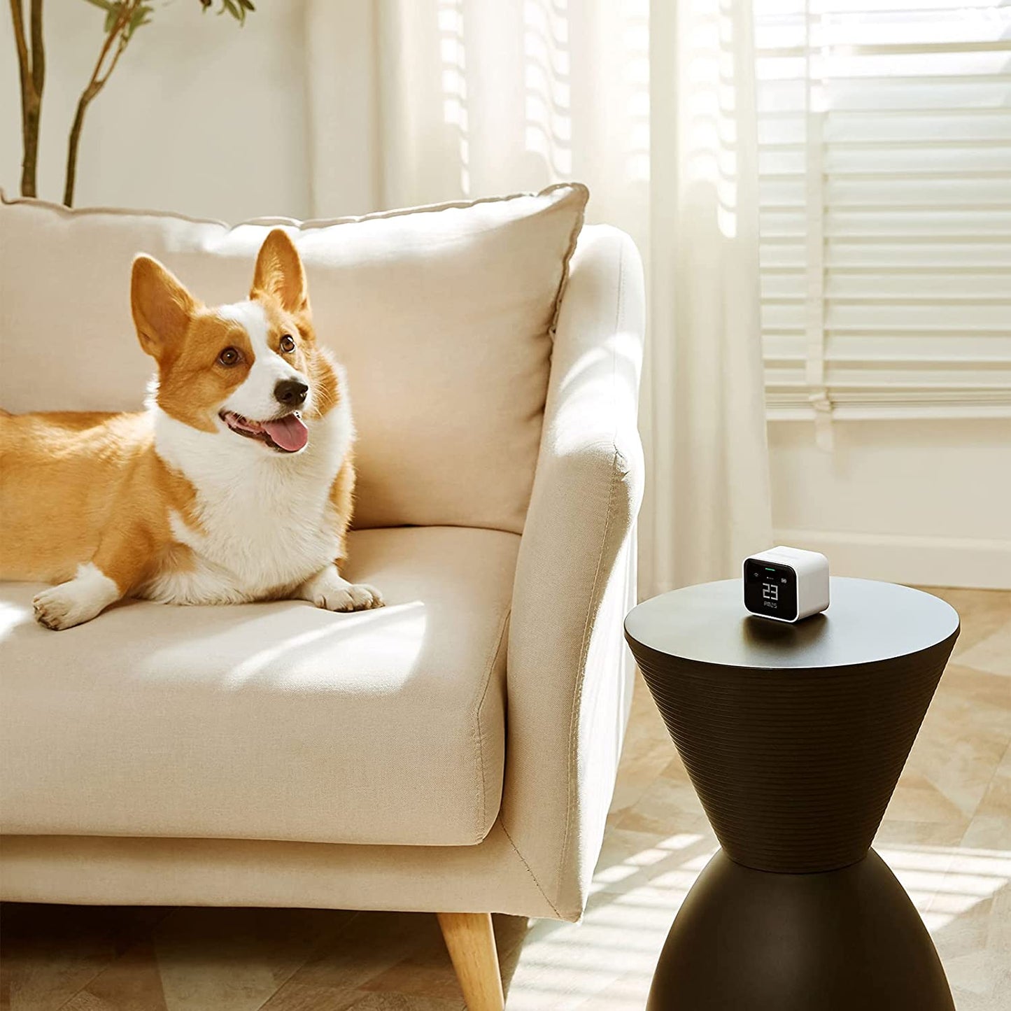 Qingping Air Monitor Lite